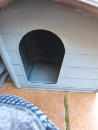 Lote Casetas Perro + Cama + Accesorios