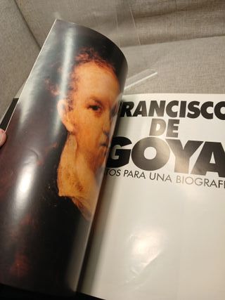 Francisco de Goya datos para una biografía