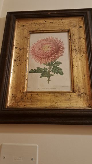 Quadro con brocca, lampada e bottiglie e altri mod