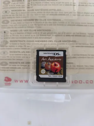 Art Academy Nintendo DS Juego