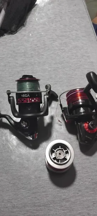 Lote pesca mar cañas y accesorios