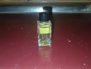 Miniatura Perfume Chanel N°19 Eau de Toilette