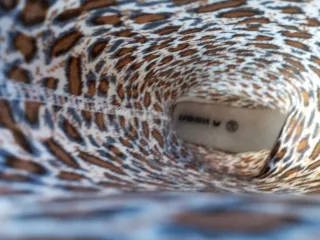 Botas de agua estampado leopardo