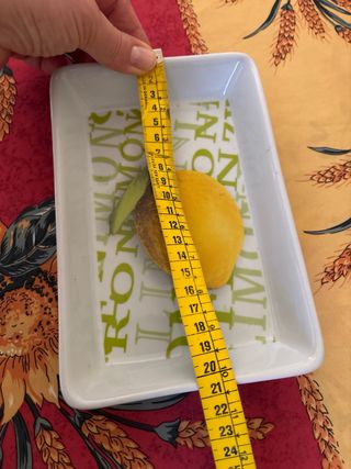 Piccola ciotola in porcellana con limone