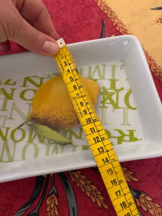 Piccola ciotola in porcellana con limone