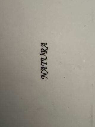 Piccola ciotola in porcellana con limone