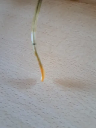 Occhiali vintage gialli