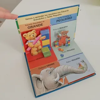 Colección Pop-Up Eduardo y Teddy