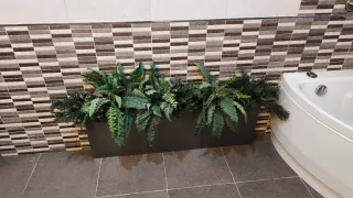 Plantas, palmeras. Etc