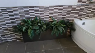 Plantas, palmeras. Etc