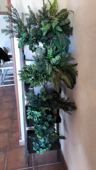 Plantas, palmeras. Etc