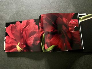 Grembiule da giardinaggio Prada