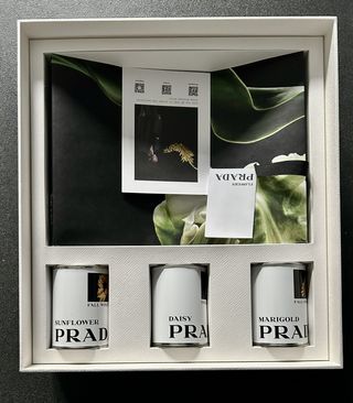 Grembiule da giardinaggio Prada