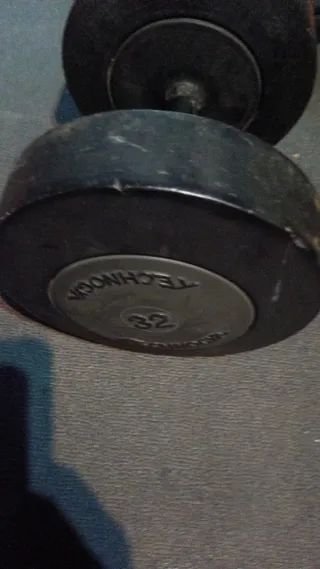 Mancuerna Technogym 32kg.  50€