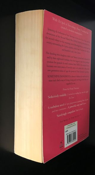 Something Dangerous de Penny Vincenzi