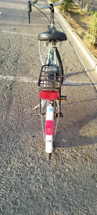 Bicicleta de paseo holandesa sparta