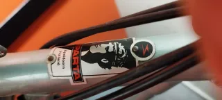 Bicicleta de paseo holandesa sparta