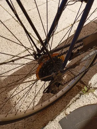 Bicicleta Vintage Ciudad