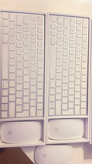 Teclado y Ratón Apple Magic