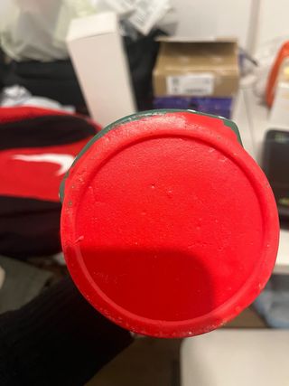 Vaso Decorativo Natalizio Renna