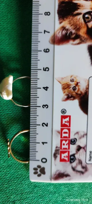 Set 2 anelli, 1 orecchino, 1 ciondolo