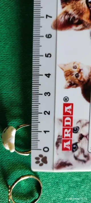 Set 2 anelli, 1 orecchino, 1 ciondolo