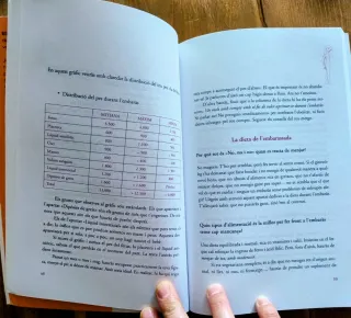 Serem Pares: Guía Embarazo, Parto y Postpart