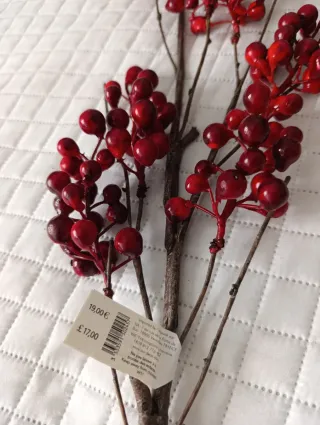 Ramo di Bacche Rosse Sia di Maison du Monde