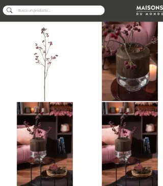 Ramo di Bacche Rosse Sia di Maison du Monde