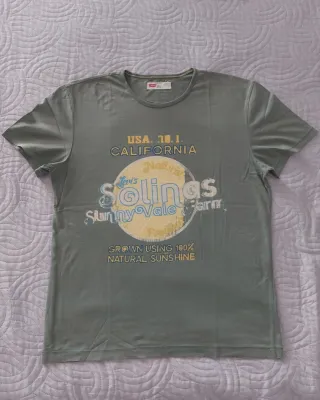 Camiseta Levi's USA California