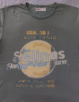 Camiseta Levi's USA California