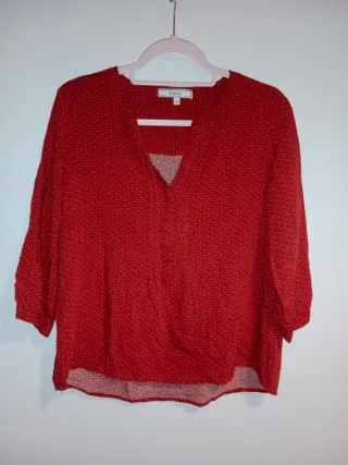 Lote de varias y distintas camisas (5)