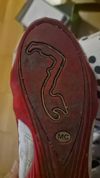 Zapatillas Puma Future Cat