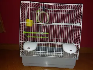 Jaula para pájaros con accesorios