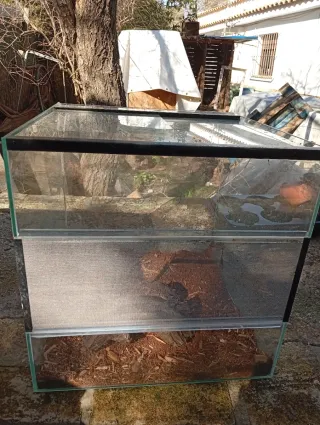 Terrario de cristal con madera