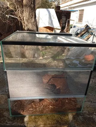 Terrario de cristal con madera