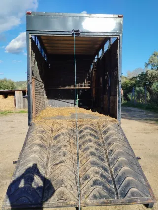 Nissan Eco T 1995 camión caballos/ ganadero