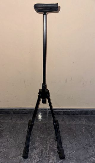 Guitarra con capo, funda y soporte