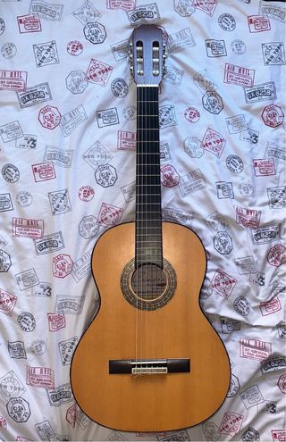 Guitarra con capo, funda y soporte