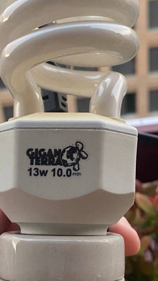 Terrario GiganTerra 35x35x40 cm - Pack Completo