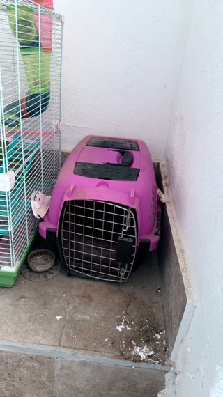 Transportín para gato rosa y negro