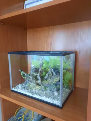 Acuario para peces de agua caliente