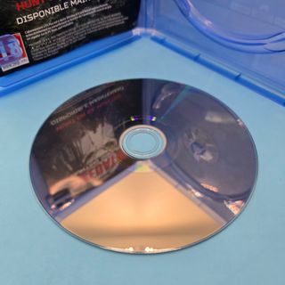 Ghost of Tsushima Director's Cut PS4