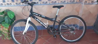 Bicicleta infantil 24