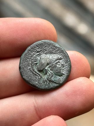 Moneda Griega Antigua