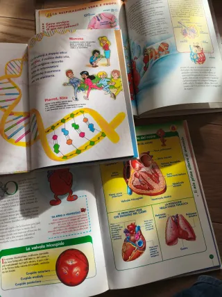 Esplorando il corpo umano 1-3-4