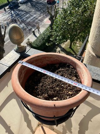 Lote 2 vasi con supporto