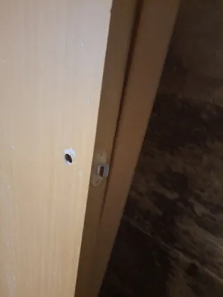 Puerta interior madera