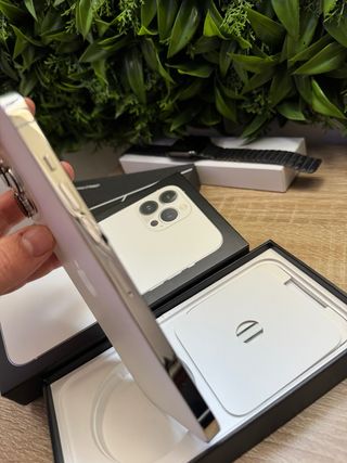 Apple iPhone 13 Pro Max Come Nuovo