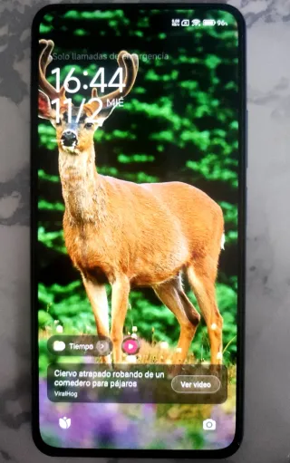 Xiaomi 11 Lite 5G NE 128GB Blu 16GB RAM